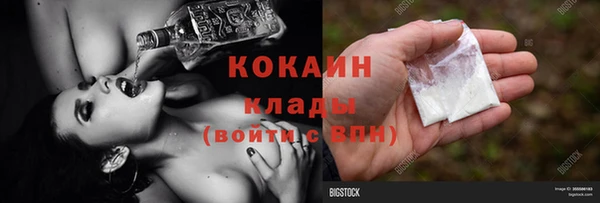COCAINE Богородицк