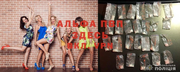 экстази Белокуриха
