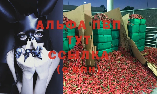 каннабис Беломорск