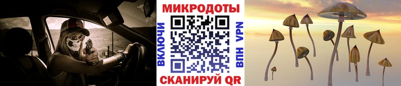 Галлюциногенные грибы MAGIC MUSHROOMS  ОМГ ОМГ tor  Гудермес 